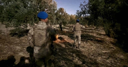 ÇİFTÇİNİN ZEYTİNİNE JANDARMA KORUMASI