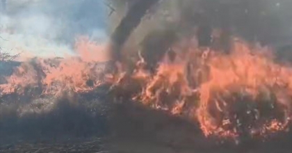  ÇİVRİL’DEKİ ORMAN YANGINI MEYVE AĞAÇLARINI VURDU