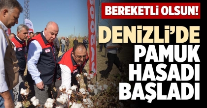 DENİZLİ’DE PAMUK HASADI BAŞLADI