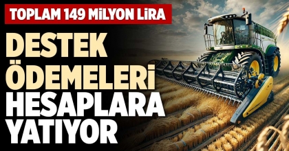 DESTEK ÖDEMELERİ HESAPLARA YATIYOR