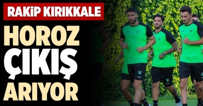 HOROZ ÇIKIŞ ARIYOR