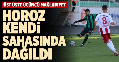 HOROZ KENDİ SAHASINDA DAĞILDI