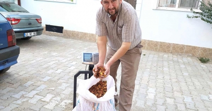 HİSARCIK ELMA KURUSUNUN FİYATI 35 TL’YE YÜKSELDİ