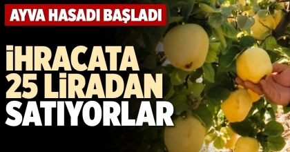 İHRACATA 25 LİRADAN SATIYORLAR