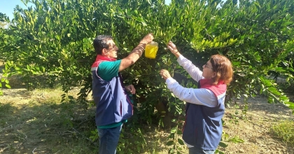 İL TARIM’DAN ÜRETİCİLERE ‘İLAÇLAMA’ ÇAĞRISI