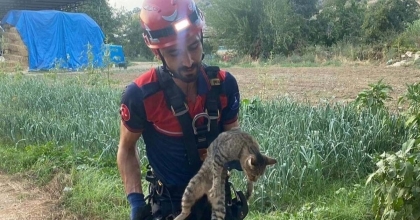İZMİR'DE KUYUYA DÜŞEN KEDİYİ İTFAİYE KURTARDI