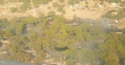 TARIM ARAZİSİNDE ÇIKIP ORMANA SIÇRAYAN YANGIN SÖNDÜRÜLDÜ