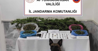 JANDARMADAN UYUŞTURUCU VE TARİHİ ESER OPERASYONU