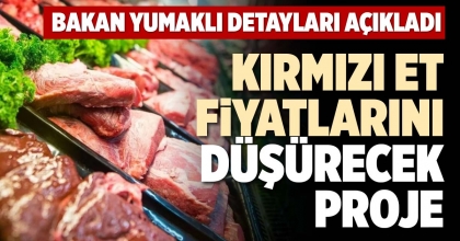 KIRMIZI ET FİYATLARINI DÜŞÜRECEK PROJE