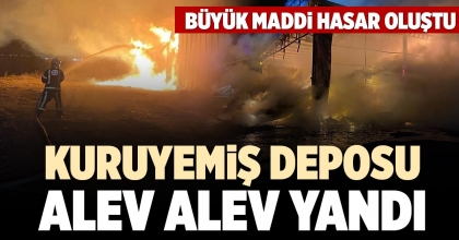 KURUYEMİŞ DEPOSU ALEV ALEV YANDI