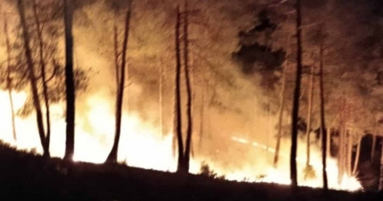 KÜTAHYA'DAKİ ORMAN YANGINI KISA SÜREDE SÖNDÜRÜLDÜ