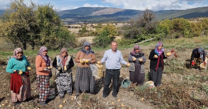 KÜTAHYALI ÇİFTÇİLER PATATES ÜRETİMİNE YÖNELDİ