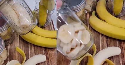 MUZLARI 26 GÜN BOYUNCA TAZE TUTUYOR