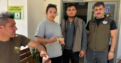 MISIR YILANI VE SAKALLI EJDER SATIŞI YAPAN PETSHOPA CEZA