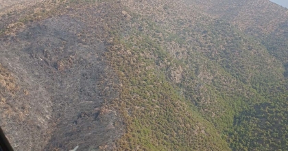 MANİSA'DAKİ ORMAN YANGINI KONTROL ALTINA ALINDI