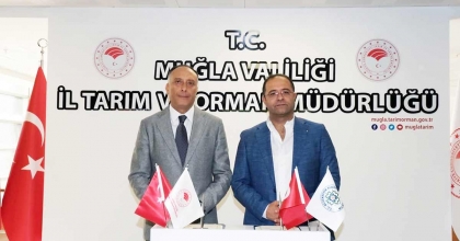 MUĞLA'DA 5 BİN BÜYÜKBAŞ HAYVAN AŞILANACAK