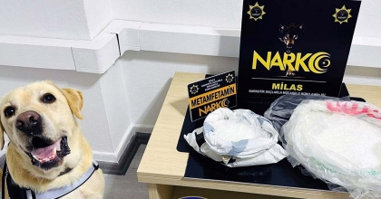NARKOTİK KÖPEĞİ ‘ÇİKO’ AFFETMİYOR