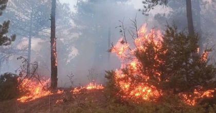 ORMAN YANGINI 3 SAATTE KONTROL ALTINA ALINDI