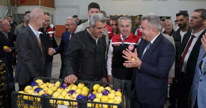 SATSUMA MANDALİNASI BALKANLAR VE AVRUPA YOLUNDA