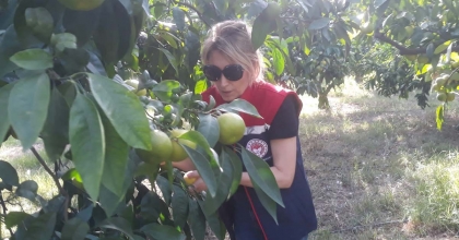 SÖKE'DE TARIMSAL VERİM İÇİN ÖNLEYİCİ ÇALIŞMALAR SÜRÜYOR