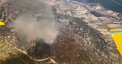 SEYDİKEMER'DE ÇIKAN ORMAN YANGINI KONTROL ALTINA ALINDI