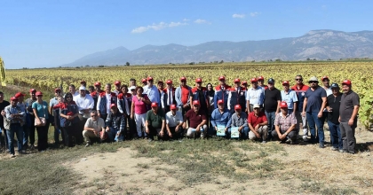 SU KITLIĞI OLAN YILLARDA PAMUĞA ALTERNATİF OLDU