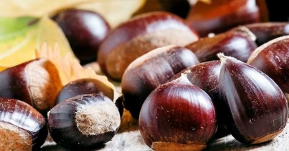 TASTE ATLAS DÜNYANIN EN İYİ 10 KURUYEMİŞİNİ AÇIKLADI