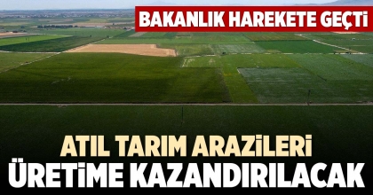 ATIL TARIM ARAZİLERİ ÜRETİME KAZANDIRILACAK