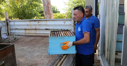 YEREL YÖNETİMLER ARASINDA BİR İLK: TEMİZ PETEK PROJESİ