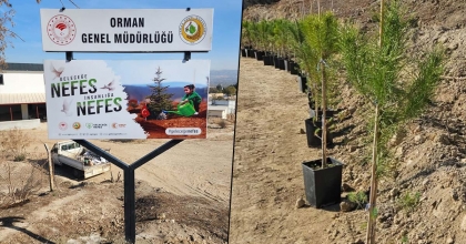 101. YIL ANISINA FİDANLAR TOPRAKLA BULUŞACAK