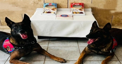 3 UYUŞTURUCU TACİRİ YAKALANDI