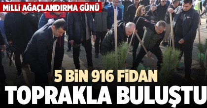 5 BİN 916 FİDAN TOPRAKLA BULUŞTU