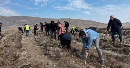 ATA’YI FİDAN DİKEREK ANDILAR