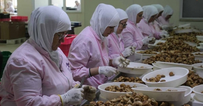 AYDIN'IN KURU İNCİRİ 100'DEN FAZLA ÜLKEDE AĞIZLARI TATLANDIRIYOR