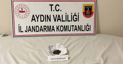 AYDIN JANDARMASINDAN UYUŞTURUCU OPERASYONU