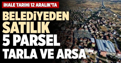 BELEDİYEDEN SATILIK 5 PARSEL TARLA VE ARSA