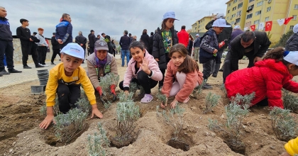 BİNLERCE FİDAN TOPRAKLA BULUŞTU