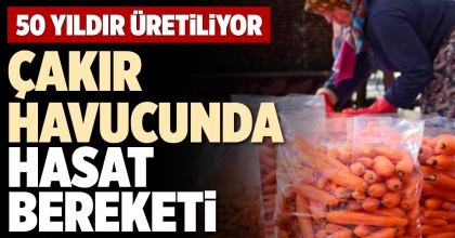 ÇAKIR HAVUCUNDA HASAT BEREKETİ