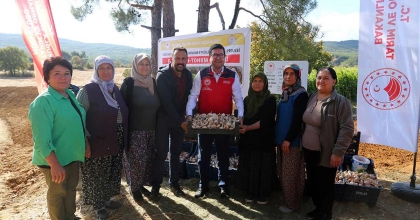 COĞRAFİ İŞARETLİ ULA SARIMSAĞINDA İMECE USULÜ ÜRETİM