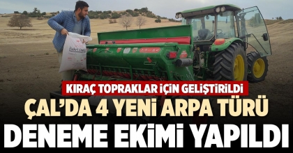 ÇAL’DA 4 YENİ ARPA TÜRÜ DENEME EKİMİ YAPILDI