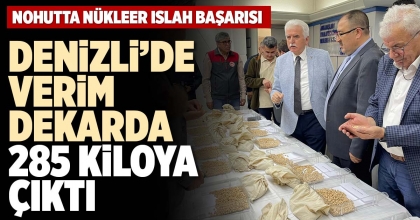 DENİZLİ’DE VERİM DEKARDA 285 KİLOYA ÇIKTI