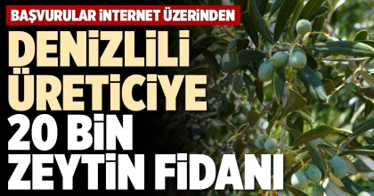 DENİZLİLİ ÜRETİCİYE 20 BİN ZEYTİN FİDANI