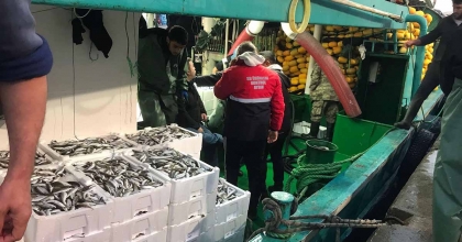 DİDİM'DE BALIKÇI TEKNELERİ DENETLENDİ