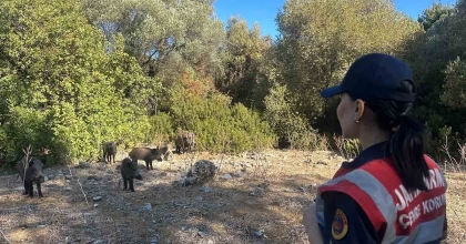 DİLEK YARIMADASI'NDA JANDARMA DENETİMİ