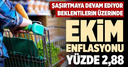 EKİM ENFLASYONU YÜZDE 2,88