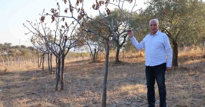 EGE’DE KURAKLIK ALARMI