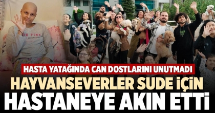 HAYVANSEVERLER SUDE İÇİN HASTANEYE AKIN ETTİ
