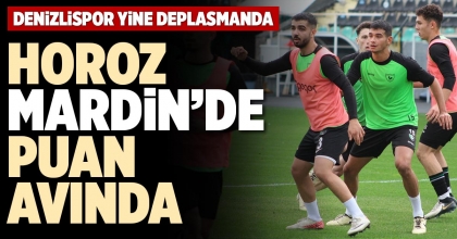 HOROZ MARDİN’DE PUAN AVINDA