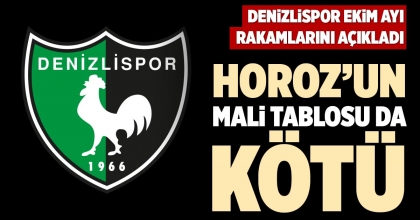 HOROZ’UN MALİ TABLOSU DA KÖTÜ