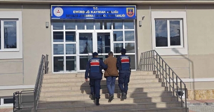 HAYVAN HIRSIZLIĞINDAN ARANAN ŞAHSI JANDARMA YAKALADI  